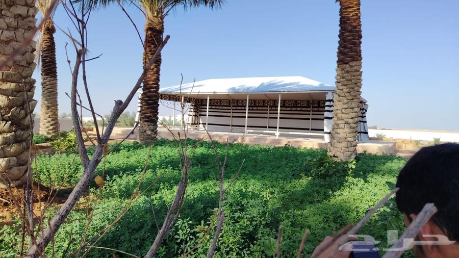 Royal houses disassembly and assembly, all sizes available64501619904643114