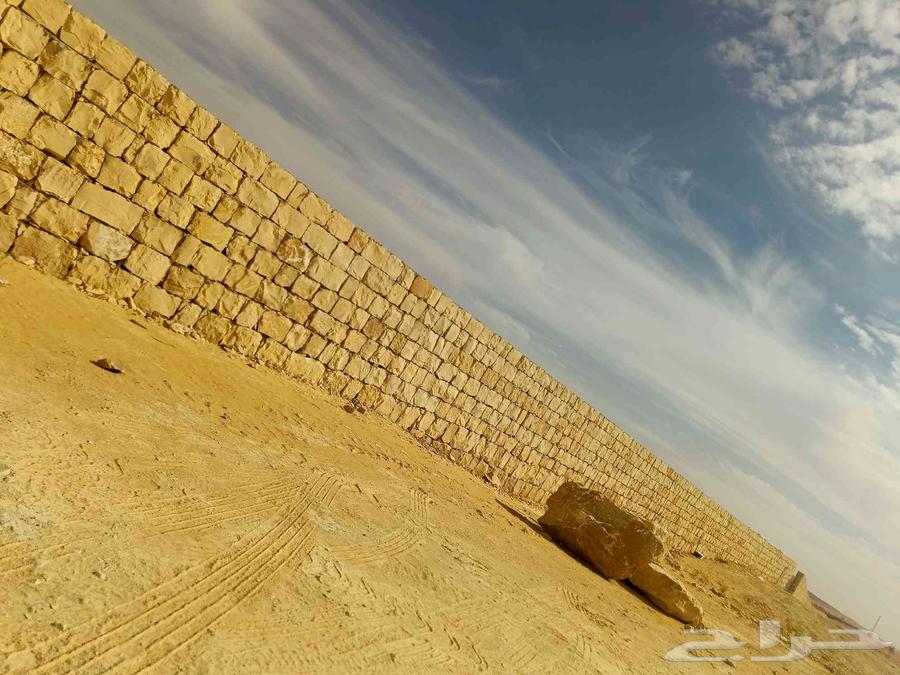 We have a company supplying and planting Arabic and date palms, as well as constructing sandstone steps and walkways64501603318274111