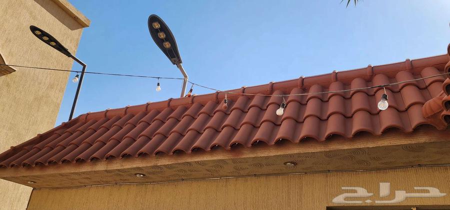 دهان ابواب حديد وخشب نراي وزيتي64501587549187112