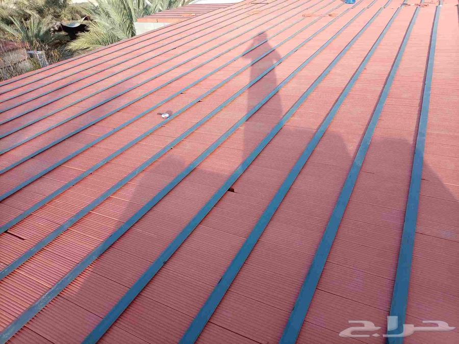 Construction teacher for building, installing domes, and demolition64501715683457110