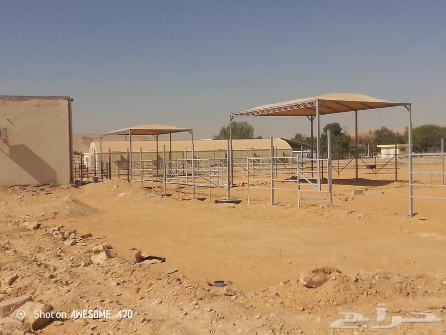 Canopies, barriers, grilles, and all ironworking services for contact64493738168450110