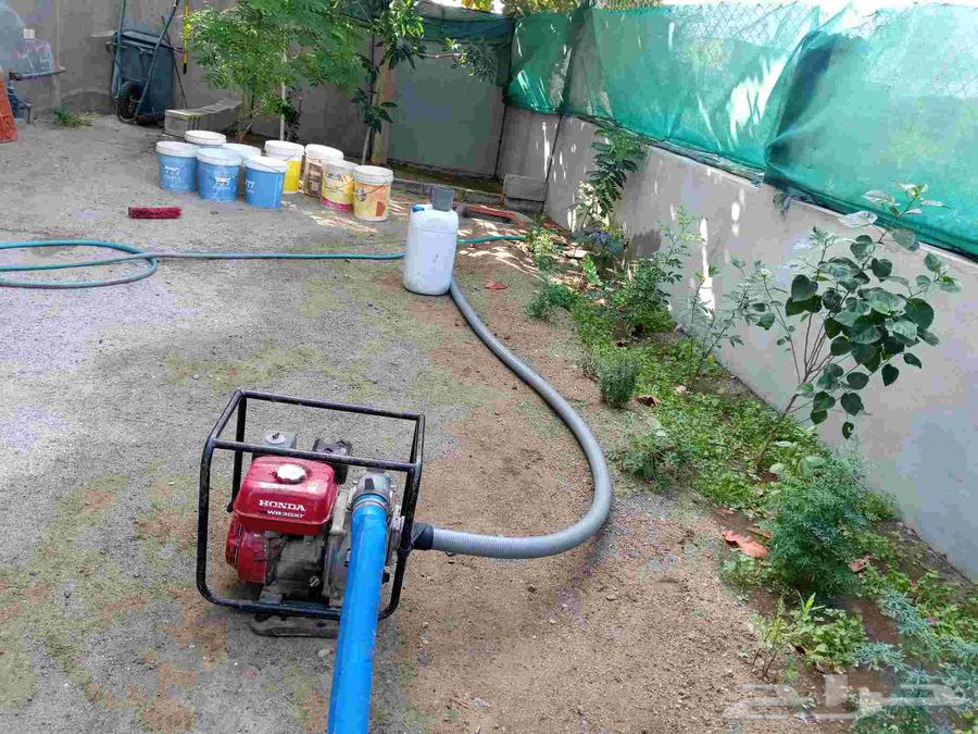 Apartment Cleaning, Tile Polishing, Tank Washing, Carpet and Sofa Cleaning, Pest Control64493738849154111