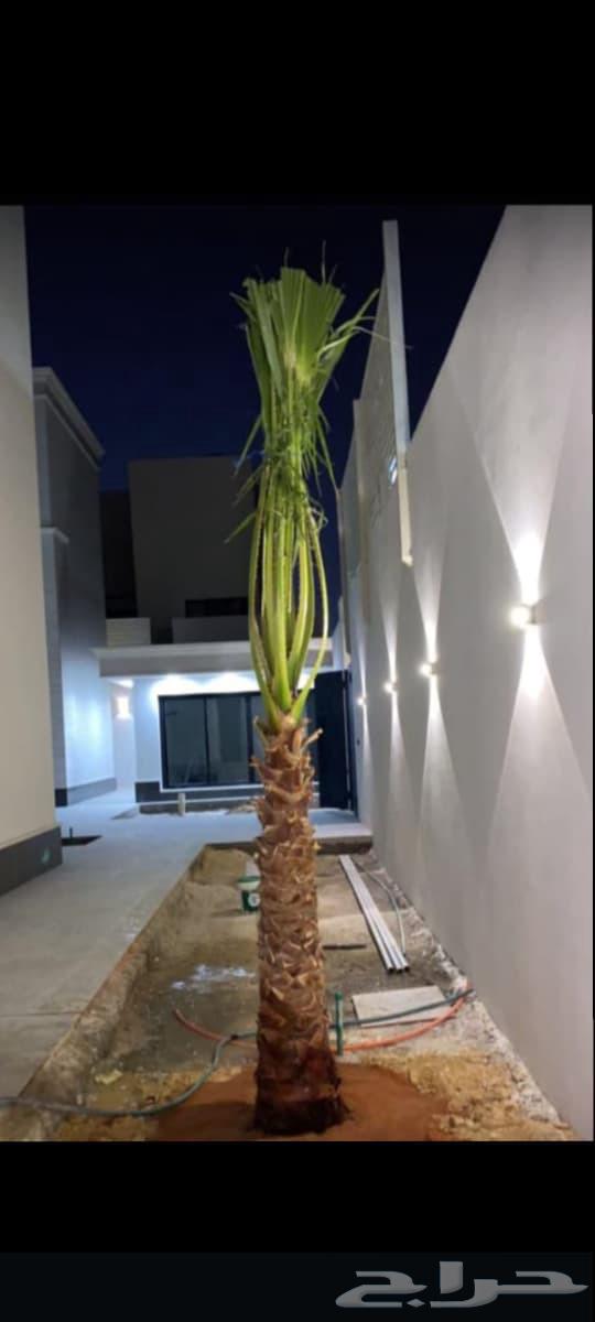 حفرالباطن عرعر الخفجي الشرقية الباحه الخميس64501716168963113