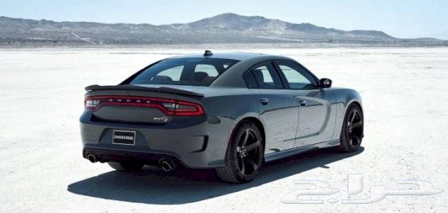 Programming and Computer Diagnostic64501619545346113