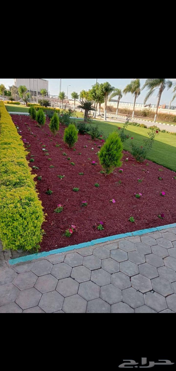 Agriculture, Landscaping, and Irrigation Networks64501634149763112