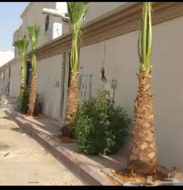 حفرالباطن عرعر الخفجي الشرقية الباحه الخميس64501716168963112