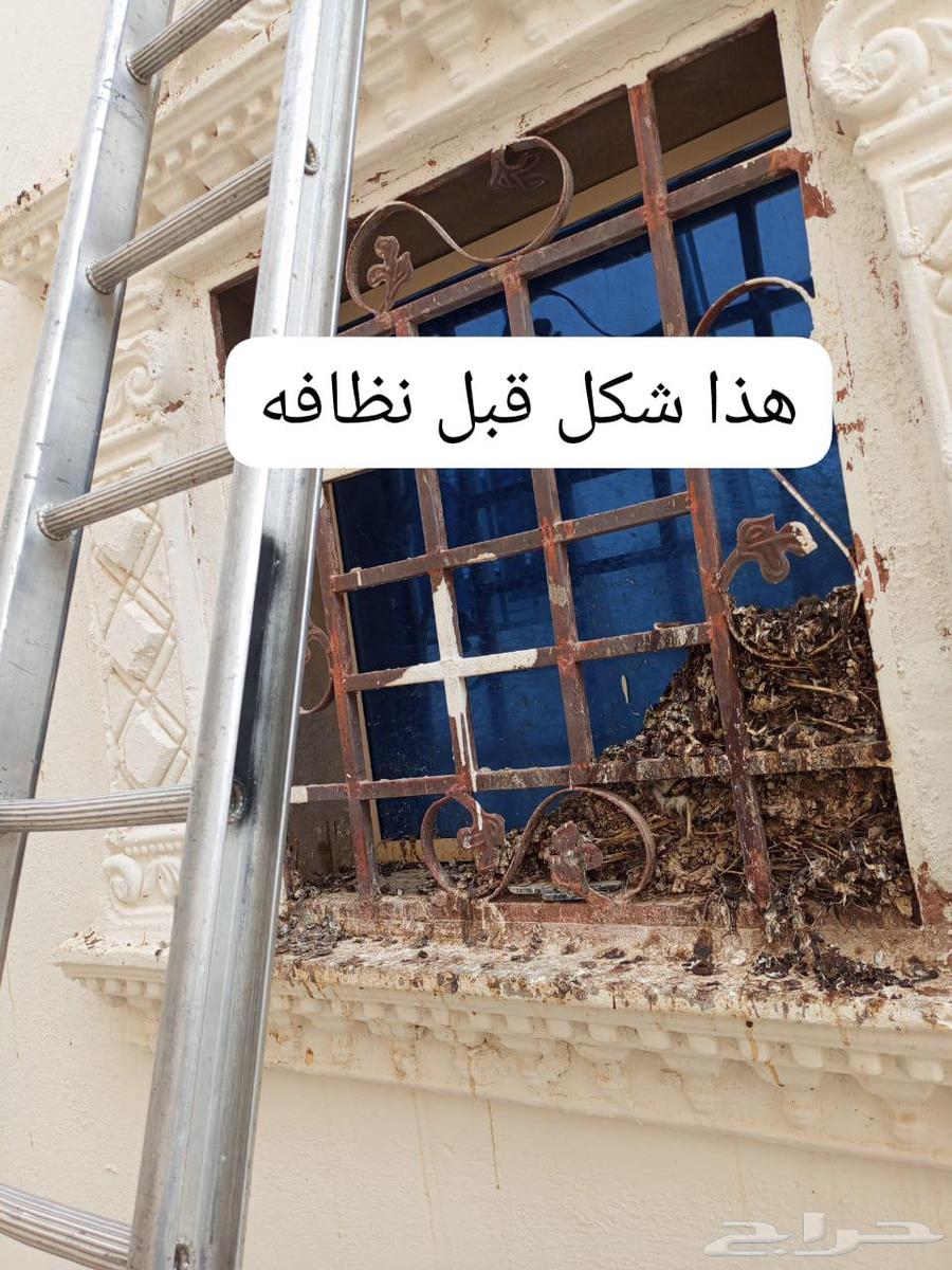 Bird repellent installation, pigeon deterrent, netting, mesh screen64501699906691112