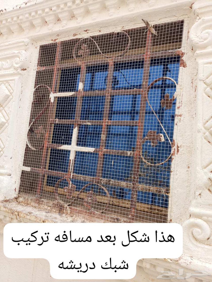 Bird repellent installation, pigeon deterrent, netting, mesh screen64501699906691113