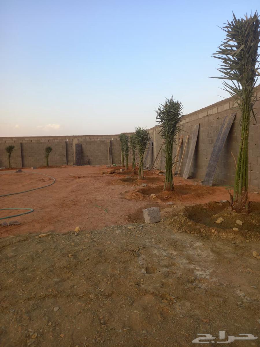 حفرالباطن عرعر الخفجي الشرقية الباحه الخميس64501716168963111