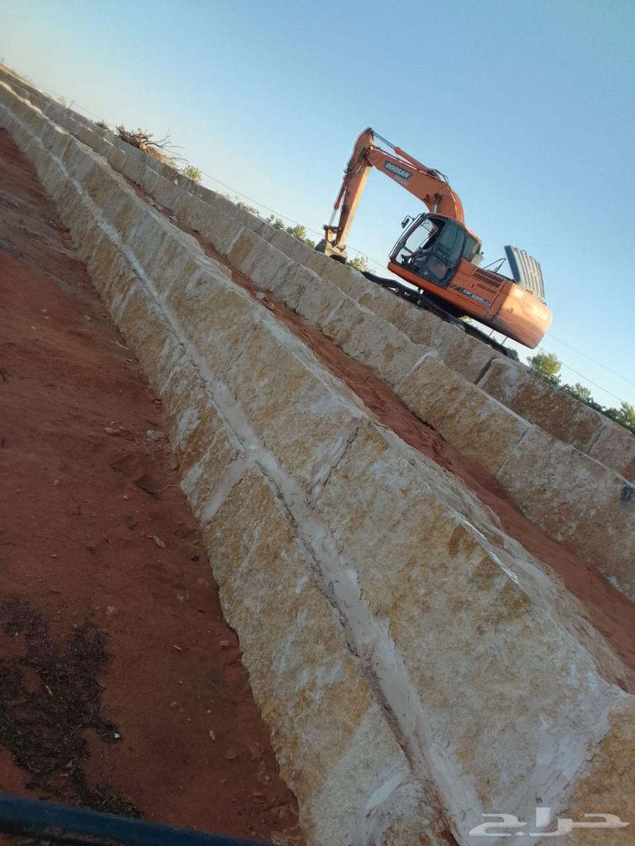 We have a company supplying and planting Arabic and date palms, as well as constructing sandstone steps and walkways64501603318274112