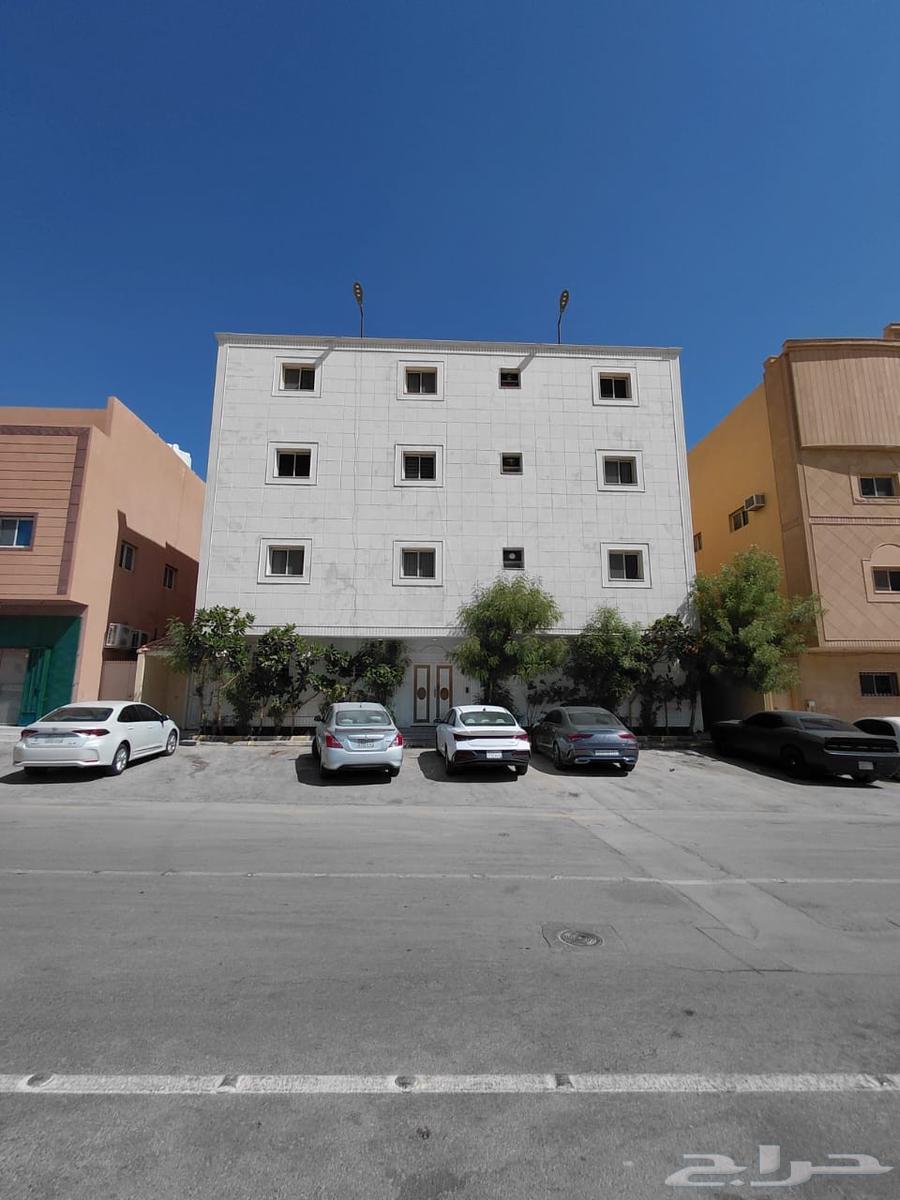 شقة للإيجار