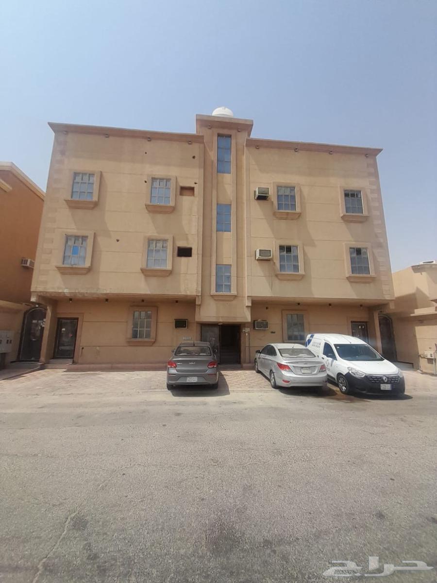 شقة للإيجار