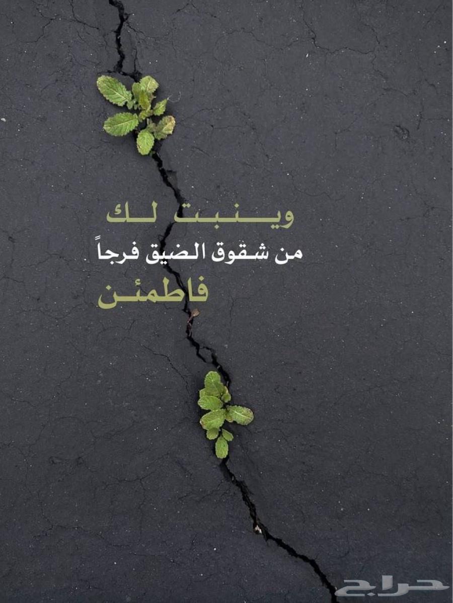 تبديل لوحات السيارات64572144438018110