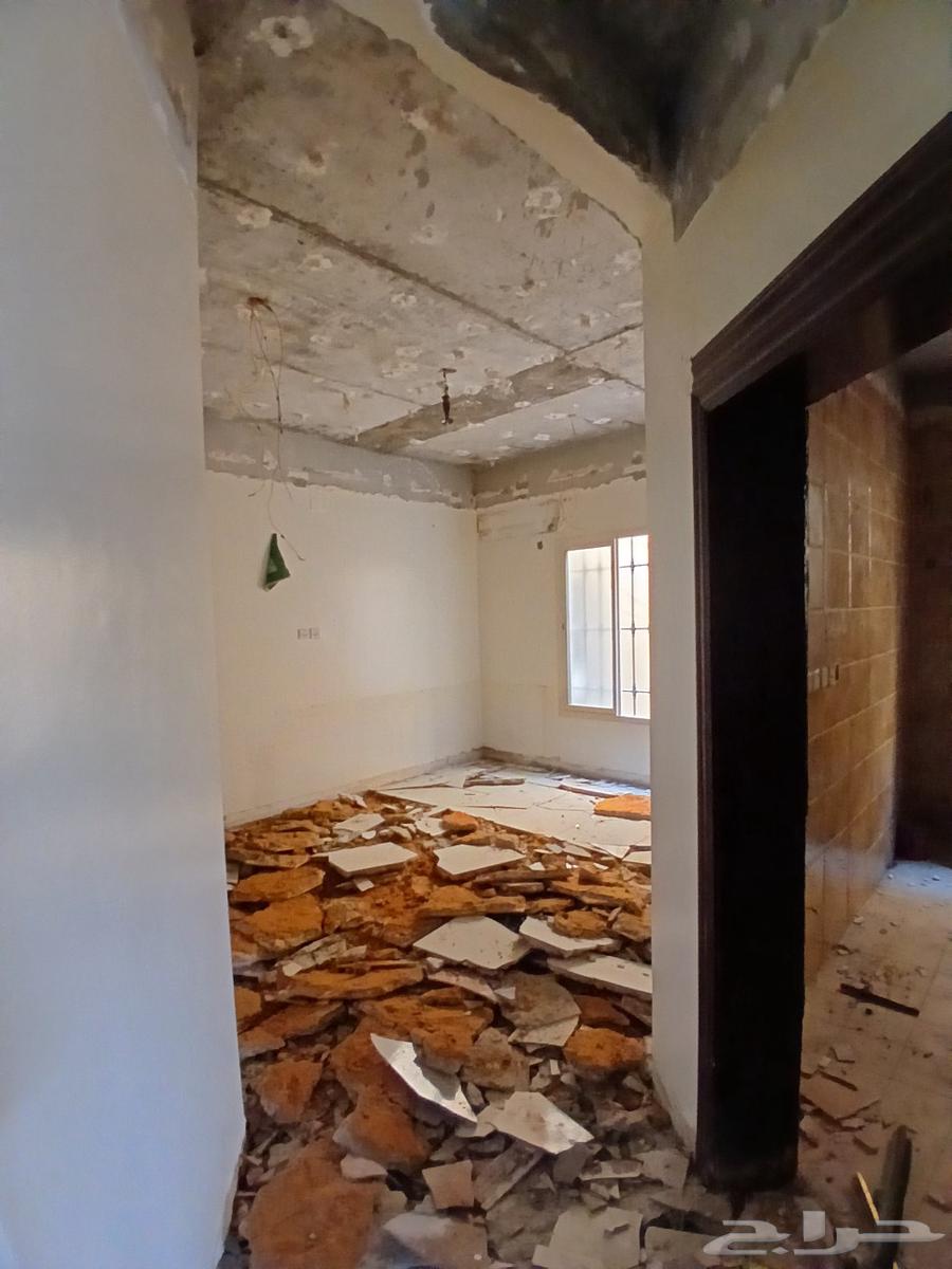 Tiling tiles Tiling ceramic Tiling gypsum Tiling wall64493706962819110