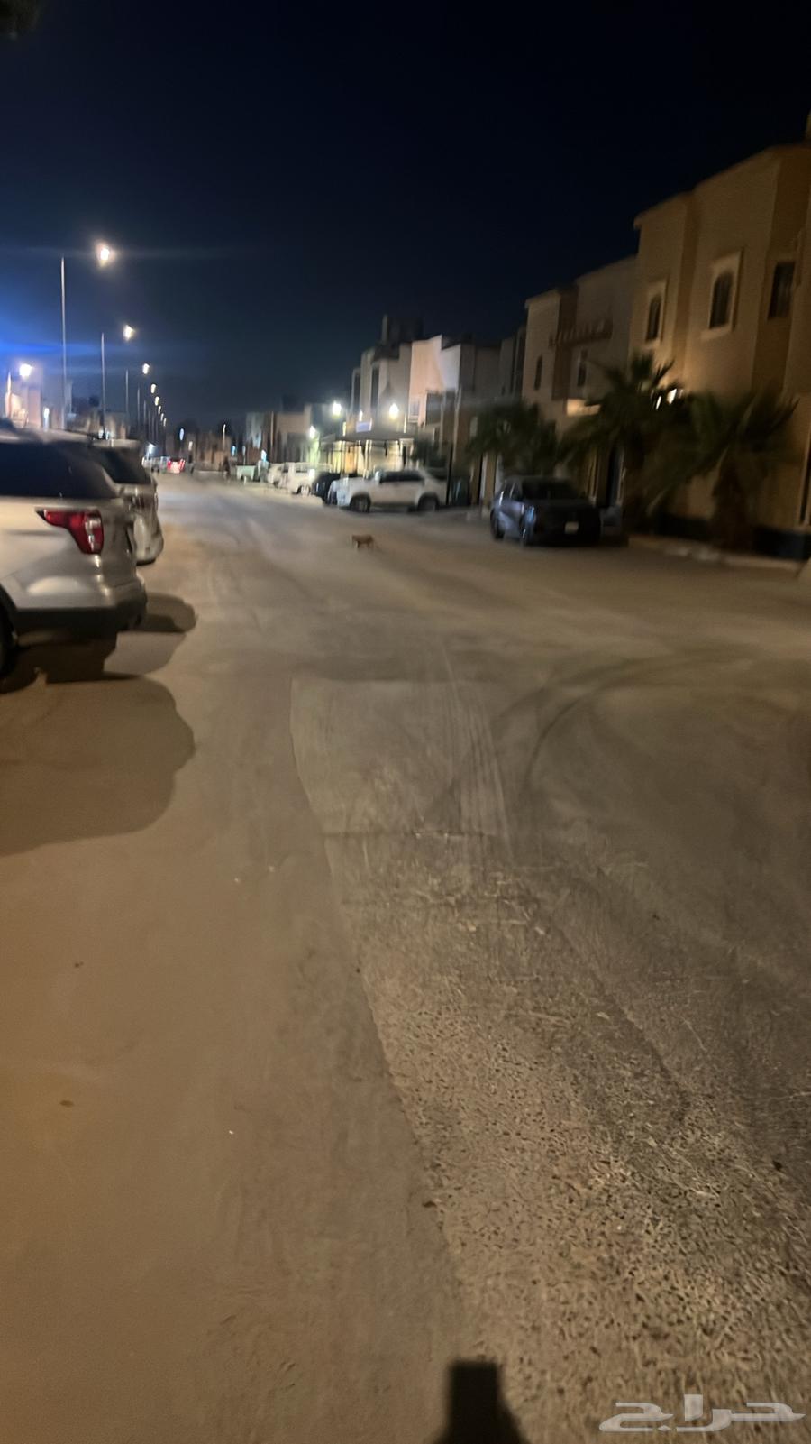 Need a driver to travel from Riyadh to Al-Qassim at 1264506490744321110