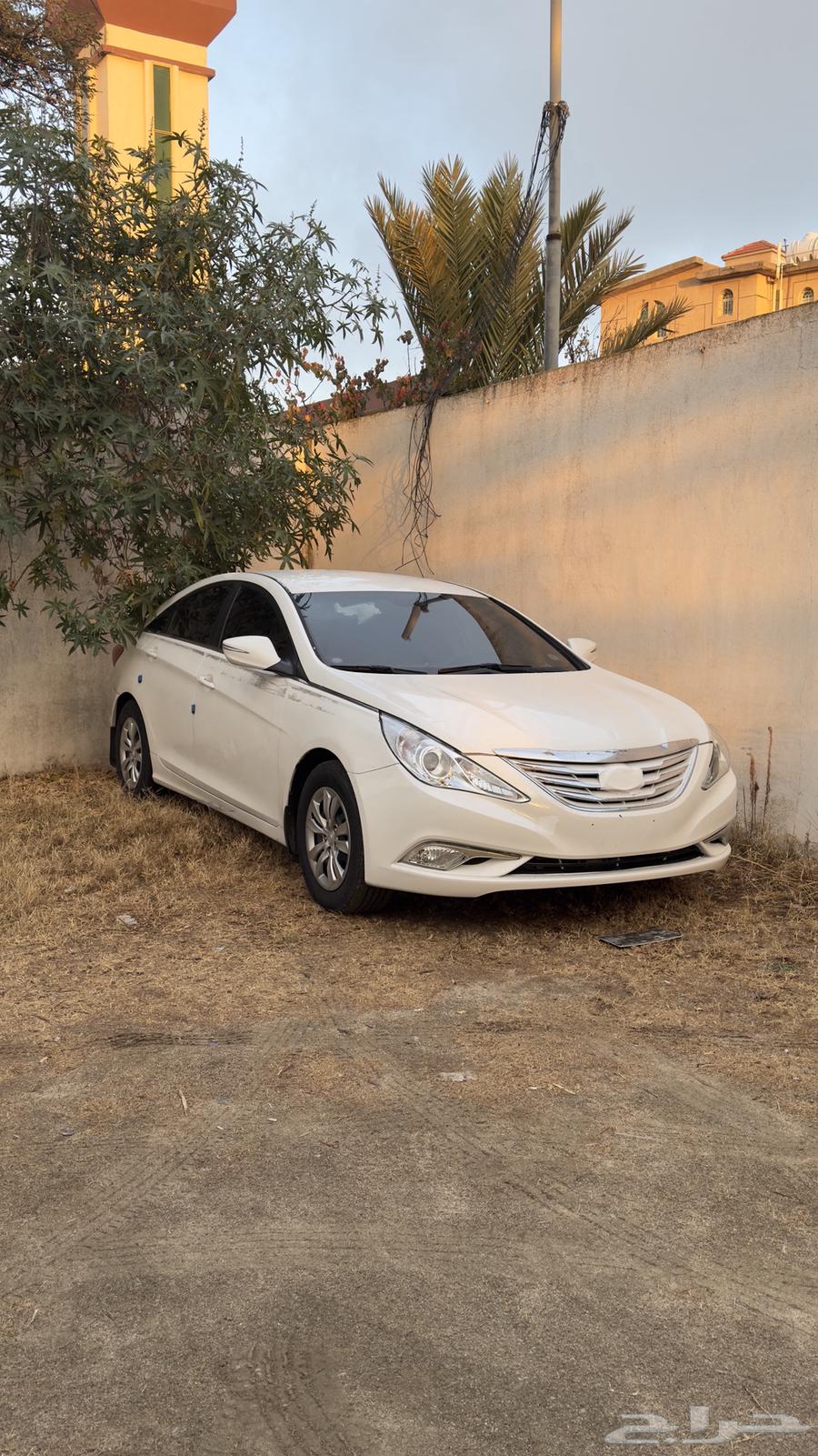 توصيل مشاوير الوجهه من جدة الى الرياض64506331649283110