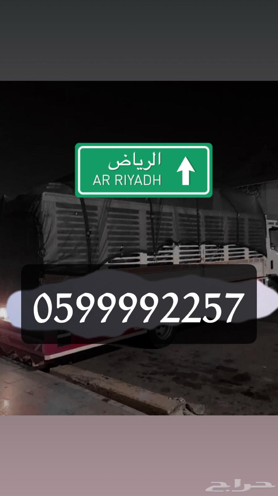 دينا 6 متر لنقل العفش والبضايع داخل وخارج المملكة64506476704385110