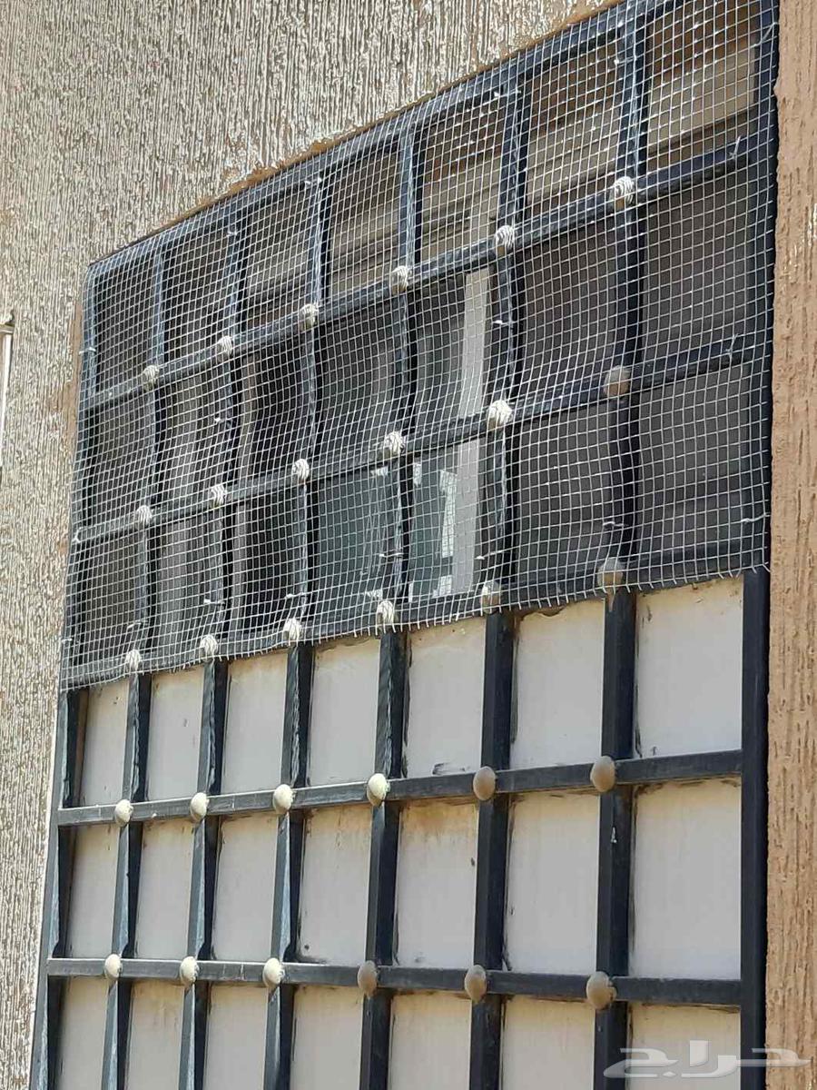 The outstanding solution for bird control64506428932098114