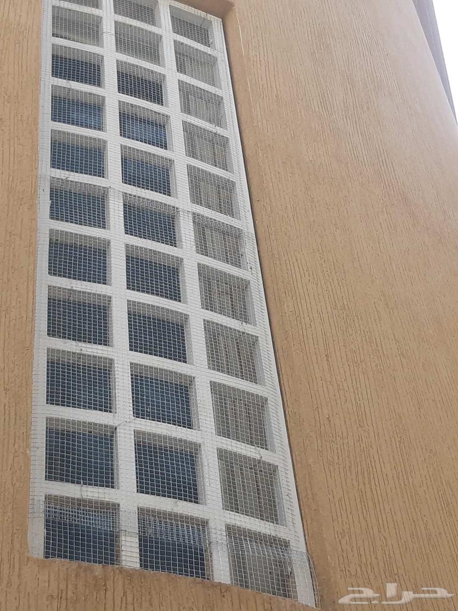 The outstanding solution for bird control64506428932098113