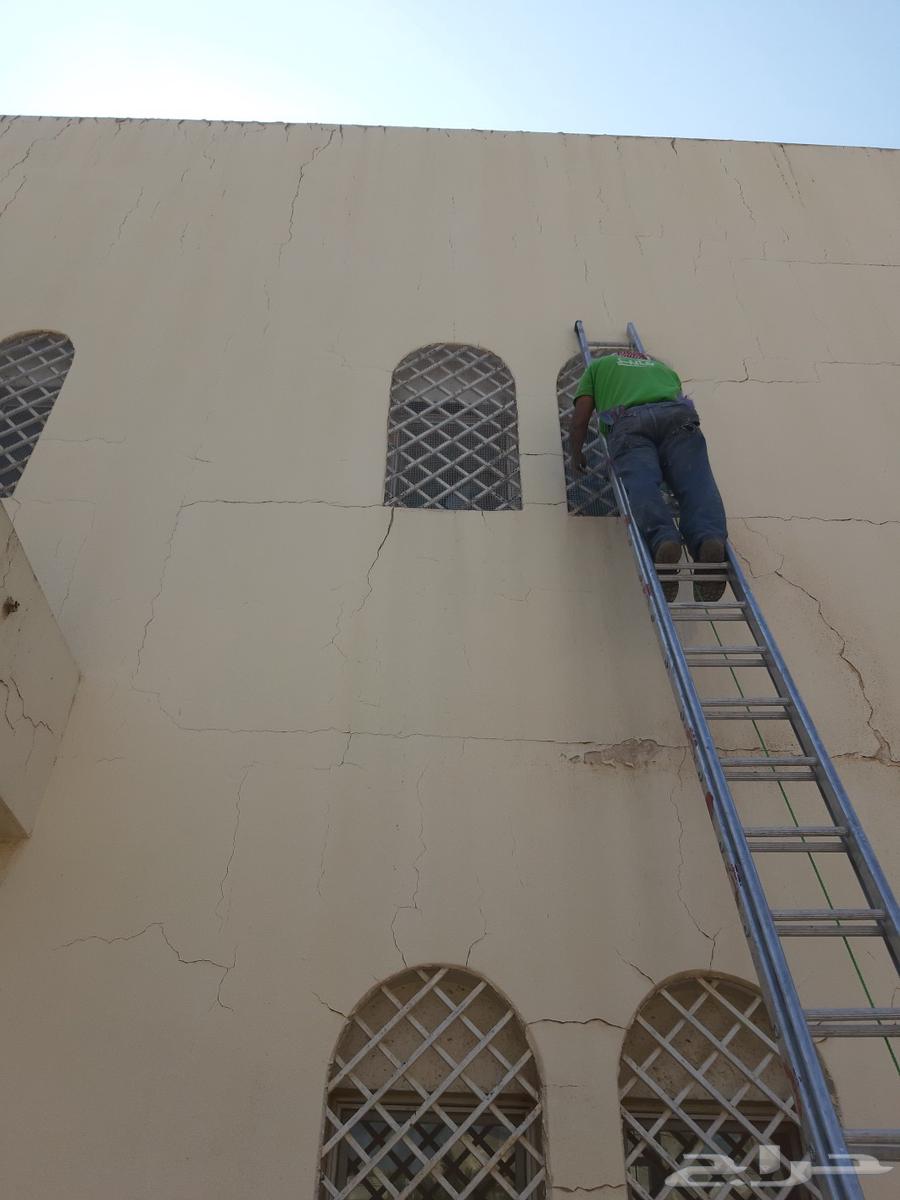 The outstanding solution for bird control64506428932098110