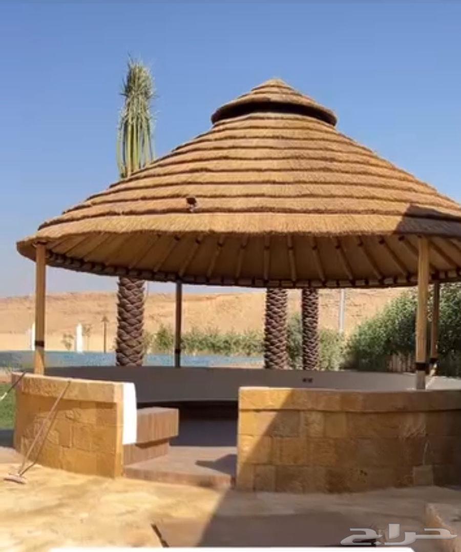 مقاول شبوك ونخيل وبنا تراث وتوريد نخيل64506347569922113