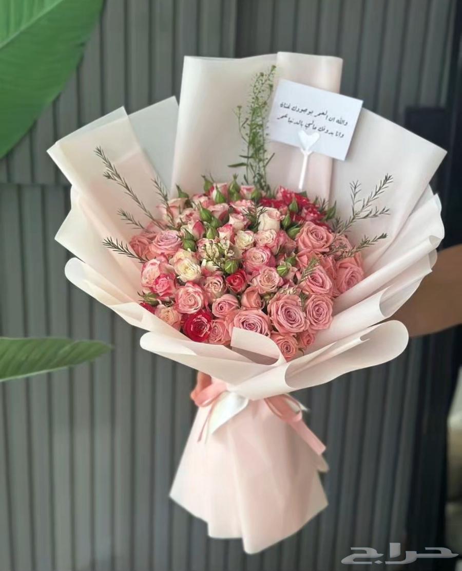 مندوب توصيل طلبات الرياض ومنسق ورود وتوصيل حيونات إليفه داخل64506491128451110