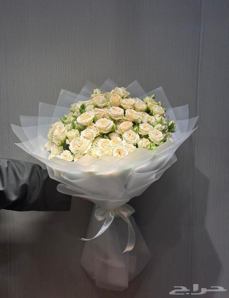 مندوب توصيل طلبات الرياض ومنسق ورود وتوصيل حيونات إليفه داخل64506491128451111