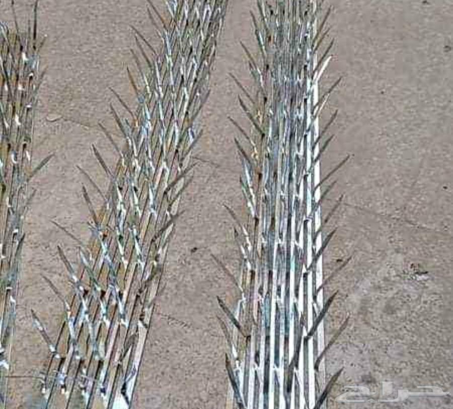 The outstanding solution for bird control64506428932098112