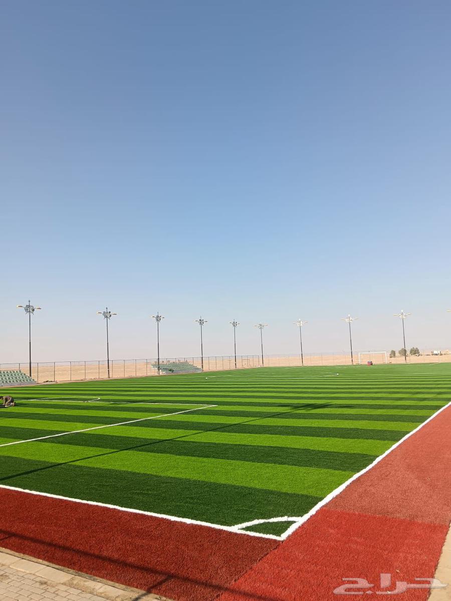 Artificial grass for sports fields and gardens needs64501731904643112
