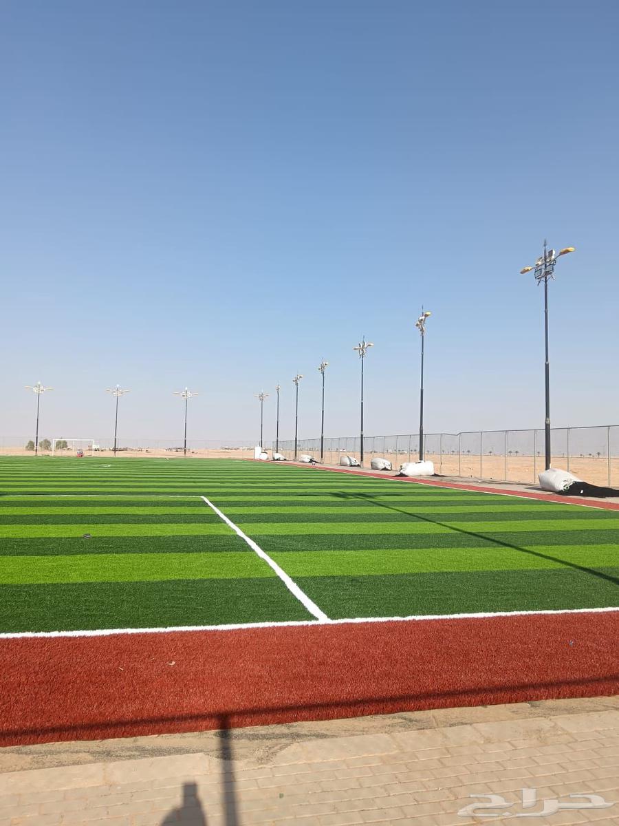 Artificial grass for sports fields and gardens needs64501731904643110