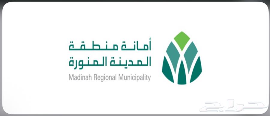 Construction containers for building contracts with competitive prices for waste removal64506491305475112