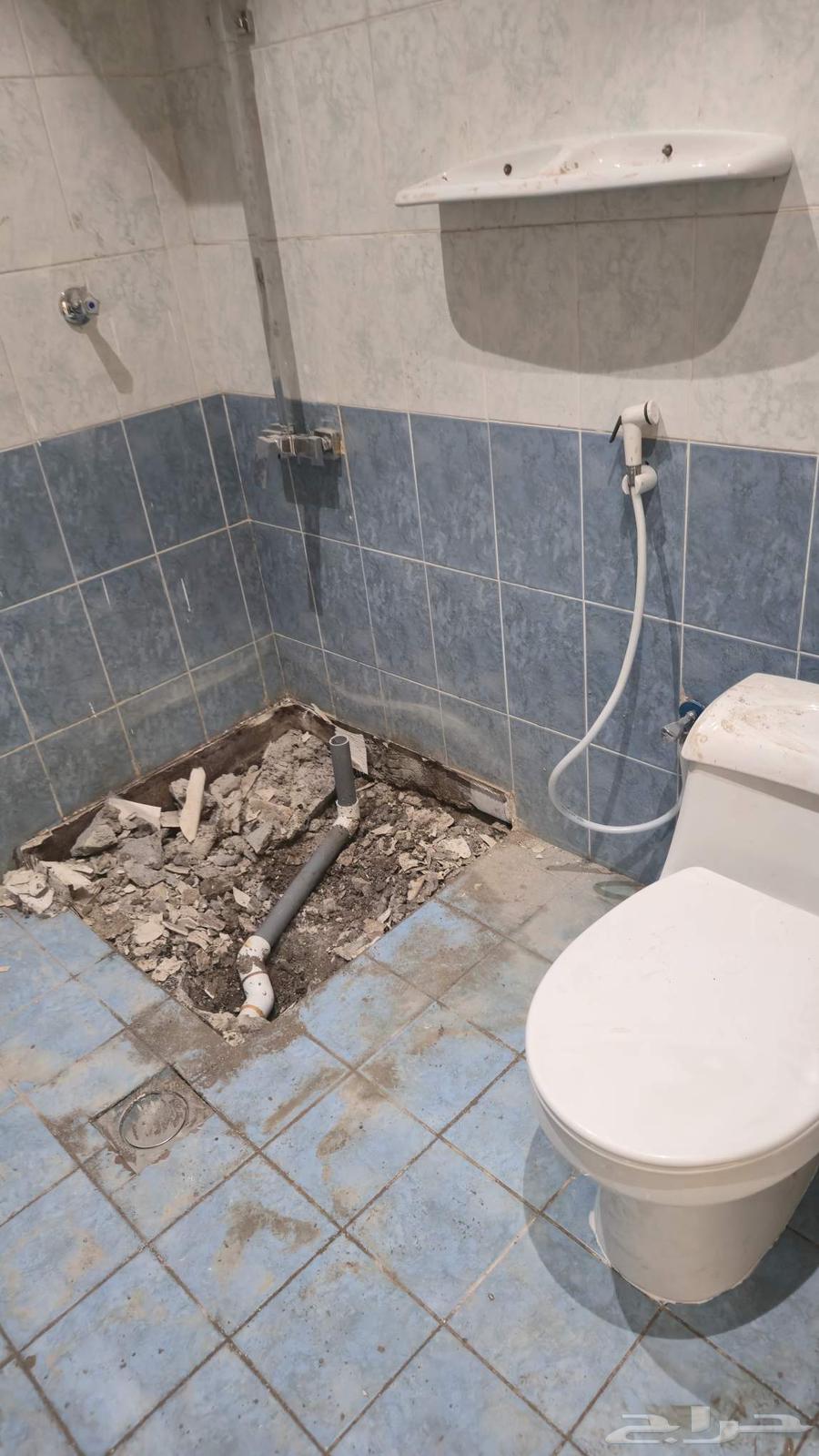 مطلوب نفس البلاط64513526563843110