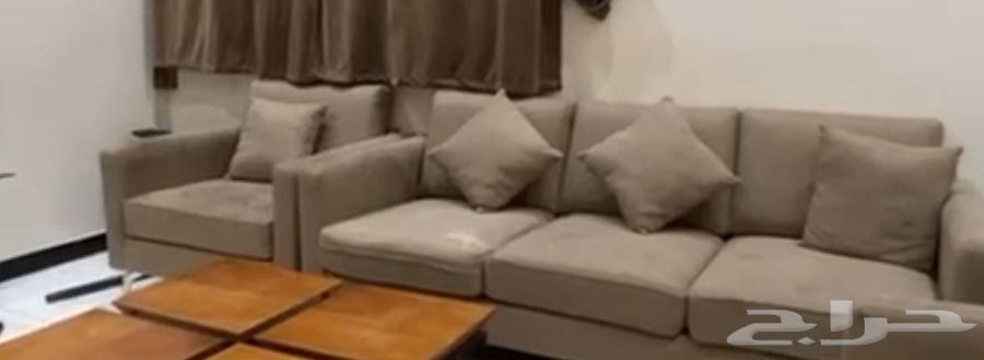 Furniture transportation with disassembly, assembly, and packaging within and outside Riyadh64513541568001113