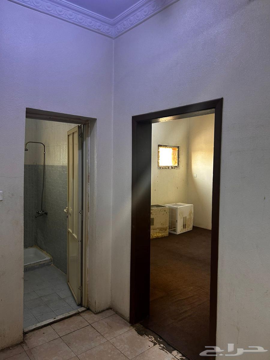 شقه للايجار دور ثاني في النعيرية64506231671298113