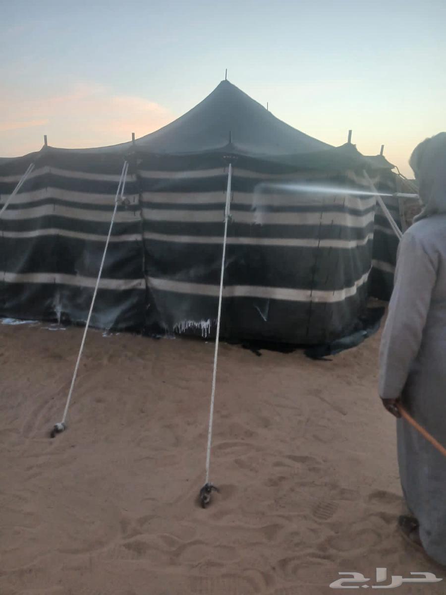 نقوم بتركيب البيوت الشعر والخيام64506444434179112