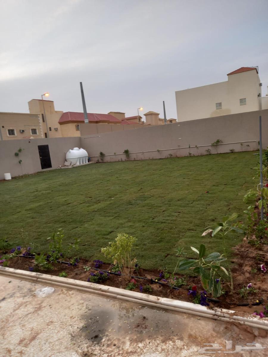 تنسيق حدائق القصيم عشب طبيعي احواض زراعيه غرغ زجاجيه مظلات64506314945027112