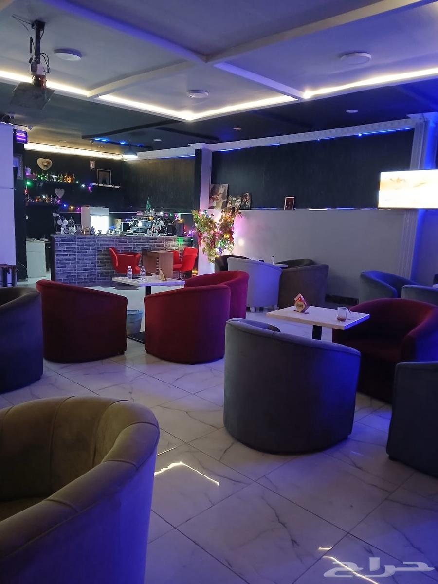 كوفي ومقهي جاهز كامل اجاره الشهري 6000 الف64513509064067114