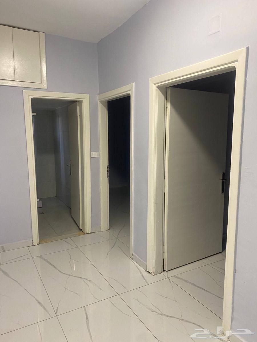 دهان بتبوك64513542579073113