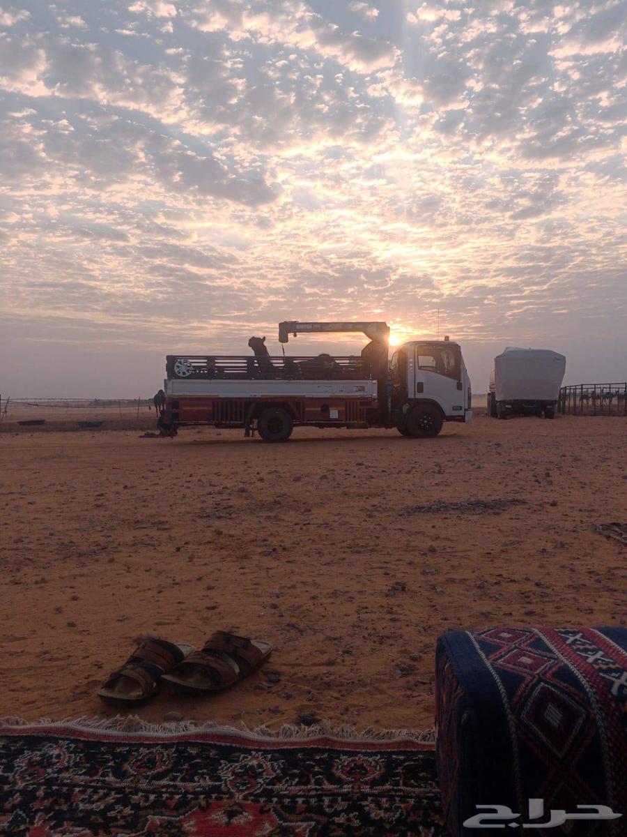 الدنه للمشاوير الخرج الدلم الحوطه الحريق المليحات الرين64506459432323110