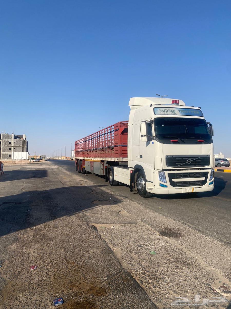 نقل ابل تريلا سبت عقل مفروش دبل نقل جميع المناطق سحب غرف64624879022851112