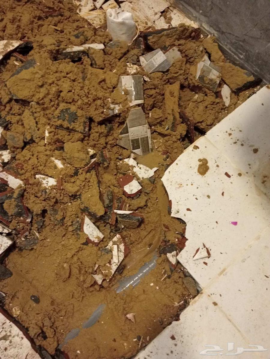 Water Leak Detection and All Types of Insulation Company64506476041218113