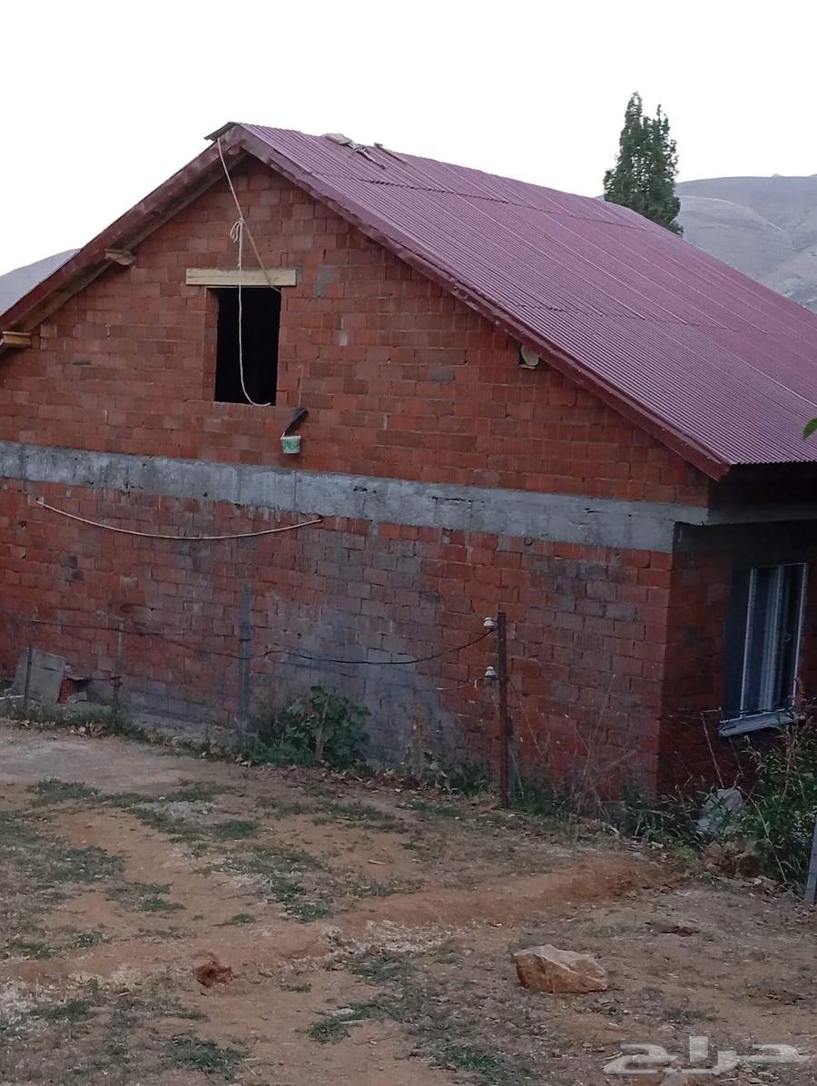 تركيب سرميك وبديل السراميك64506411532161111