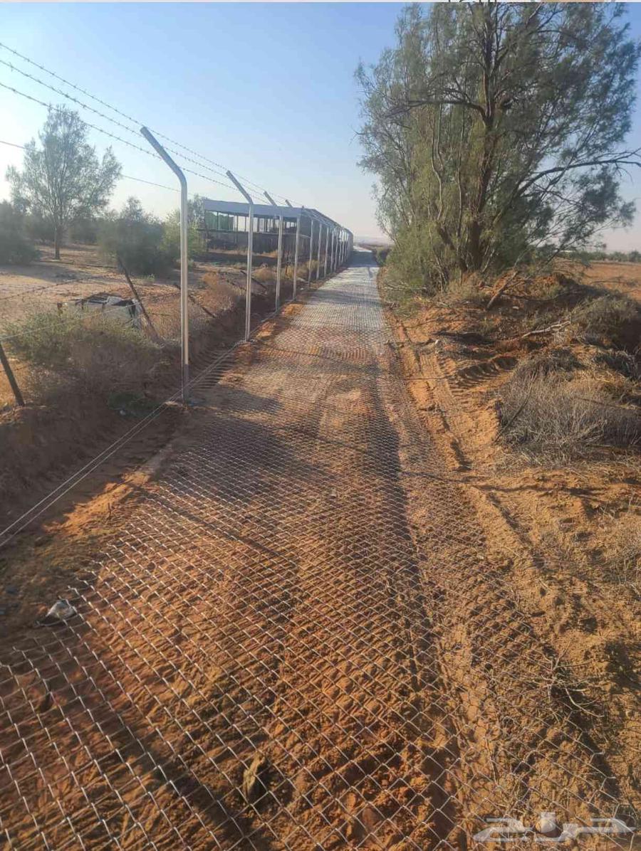 We want to install fences under the hands of specialists and you want palm trees64506315750147110