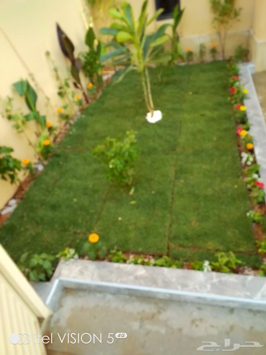 تنسيق حدائق بنواعها64513510847489113