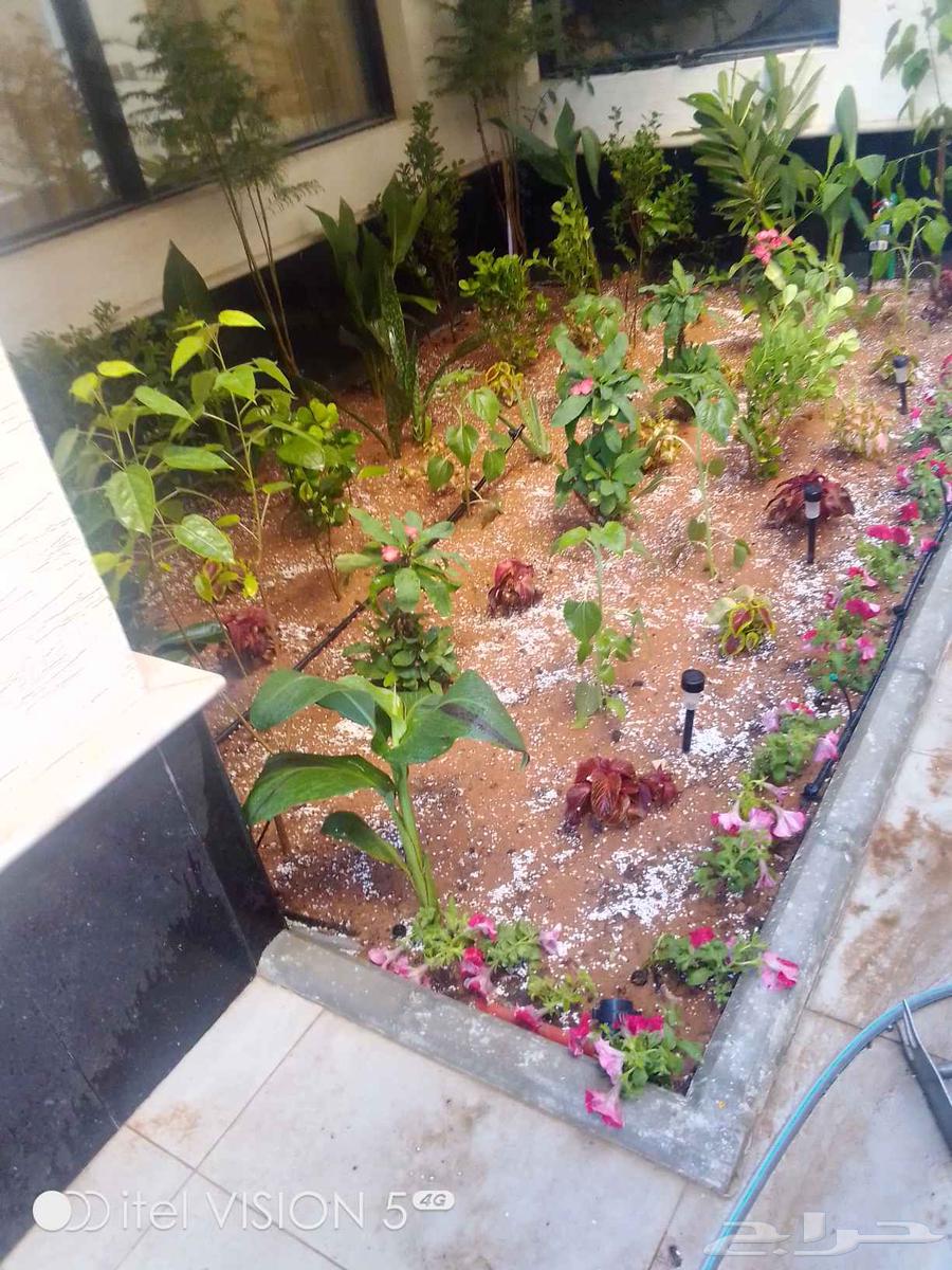 تنسيق حدائق بنواعها64513510847489111