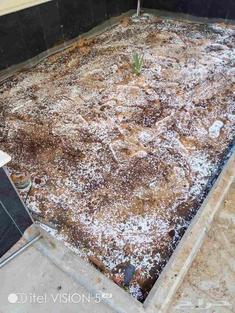 تنسيق حدائق بنواعها64513510847489110