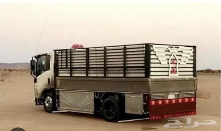 دينا ايسوزو - للنقل والمشاوير64513542512897110