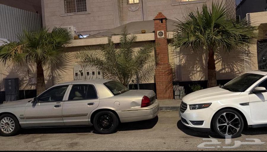 2 نخل زينه واشنطن _ وحده خلاص للبيع64513557818883111