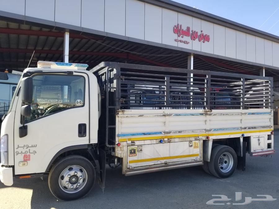 دينا سوبر جامبو مديل 202164506444745217113