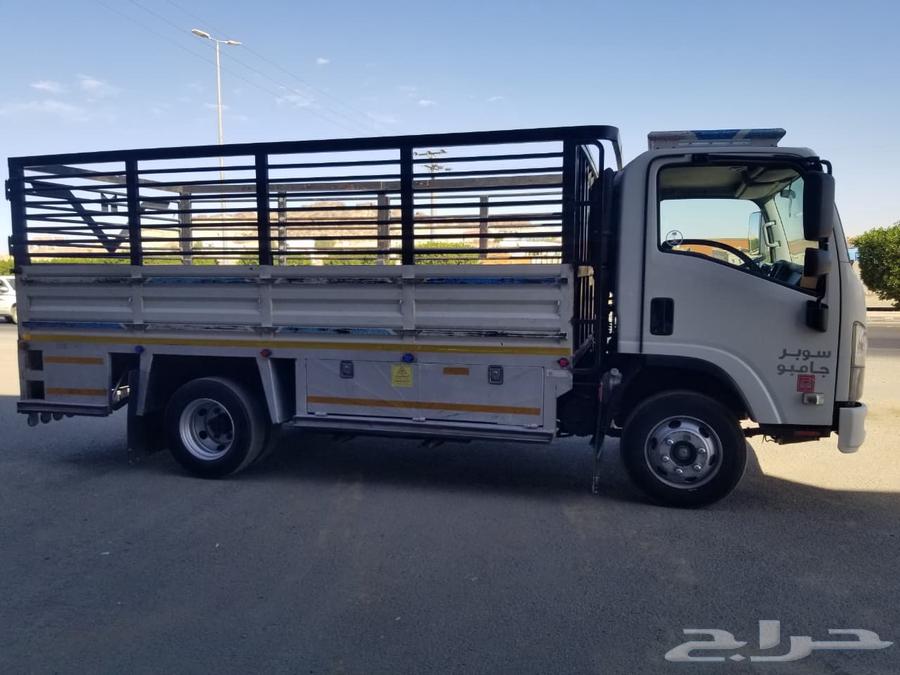 دينا سوبر جامبو مديل 202164506444745217112